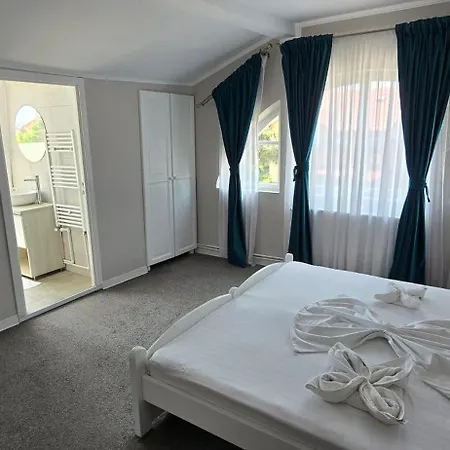 Casa Orizont ゲストハウス *